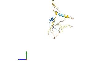 Protein Structure (PS) image for Cbp/p300-Interacting Transactivator, with Glu/Asp-Rich Carboxy-terminal Domain, 1 (CITED1) (AA 1-193) protein (His tag) (ABIN7553379)