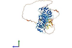 AlphaFold protein structure predicition of Mouse Recombinant Neurl1b Protein, UniprotID Q0MW30