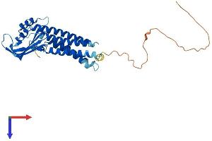 Protein Structure (PS) image for Dual Oxidase Maturation Factor 1 (DUOXA1) (AA 1-341) protein (His tag) (ABIN7559886)