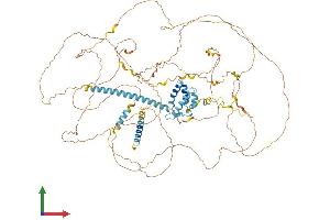 Protein Structure (PS) image for Serine/arginine Repetitive Matrix 1 (SRRM1) (AA 1-904) protein (His tag) (ABIN7555593)