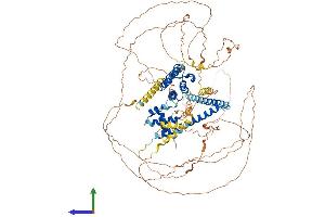 Protein Structure (PS) image for Bromodomain Containing 8 (BRD8) (AA 1-951) protein (His tag) (ABIN7564697)