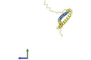 AlphaFold protein structure predicition of Human Recombinant C3orf18 Protein, UniprotID Q9UK00 (C3orf18 Protein (AA 1-162) (His tag))