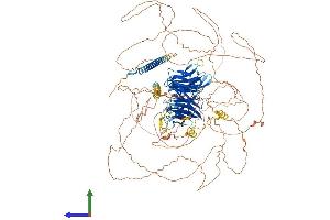 AlphaFold protein structure predicition of Human Recombinant PALB2 Protein, UniprotID Q86YC2