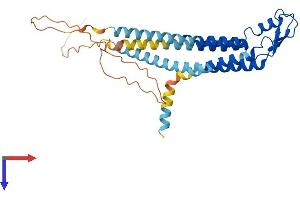 GJD2 Protein (AA 1-321) (His tag)