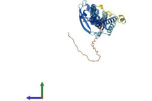 Protein Structure (PS) image for Protein Interacting With Protein Kinase C, alpha 1 (PICK1) (AA 1-415) protein (His tag) (ABIN7554926)