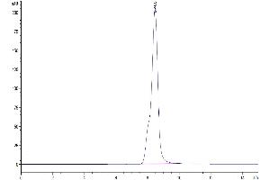 Size-exclusion chromatography-High Pressure Liquid Chromatography (SEC-HPLC) image for C-Reactive Protein (CRP) (AA 20-225) protein (His tag) (ABIN7274420)
