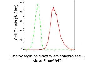 Flow cytometric analysis of Dimethylarginine dimethylaminohydrolase 1 expression in HT- cells using Dimethylarginine dimethylaminohydrolase 1 antibody (ABIN7798342), 1:2,000). (Recombinant DDAH1 抗体)