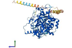Protein Structure (PS) image for UDP-N-Acetyl-alpha-D-Galactosamine:polypeptide N-Acetylgalactosaminyltransferase 6 (GalNAc-T6) (GALNT6) (AA 1-622) protein (His tag) (ABIN7559189)
