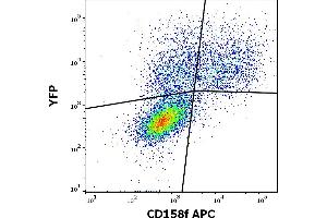 Flow Cytometry (FACS) image for anti-Killer Cell Immunoglobulin-Like Receptor, Two Domains, Long Cytoplasmic Tail, 5A (KIR2DL5A) antibody (APC) (ABIN5710239)