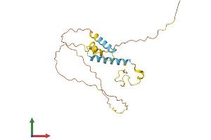 AlphaFold protein structure predicition of Mouse Recombinant Rhox5 Protein, UniprotID P52651