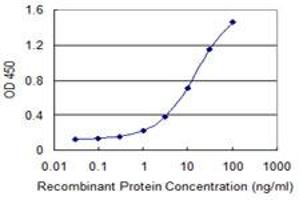 Detection limit for recombinant GST tagged SNX20 is 0. (SNX20 抗体  (AA 47-128))