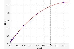 Typical standard curve