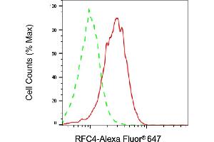Flow cytometric analysis of RFC4 expression in HepG2 cells using RFC4 antibody (ABIN7800171), 1:2,000). (RFC4 抗体)