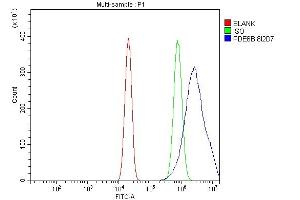 Flow Cytometry analysis of U20S cells using anti-PDE6 beta/PDE6B antibody (ABIN7600892).