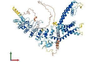 Protein Structure (PS) image for Transient Receptor Potential Cation Channel, Subfamily V, Member 3 (TRPV3) (AA 1-790) protein (His tag) (ABIN7555845)