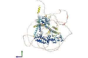 Protein Structure (PS) image for KIAA0226 (KIAA0226) (AA 1-972) protein (His tag) (ABIN7555363)