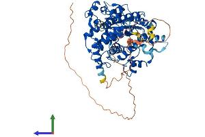 Protein Structure (PS) image for Cryptochrome 1 (Photolyase-Like) (CRY1) (AA 1-606) protein (His tag) (ABIN7563564)
