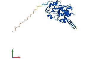 Protein Structure (PS) image for Cyclin-Dependent Kinase Inhibitor 3 (CDKN3) (AA 1-212) protein (His tag) (ABIN7553115)