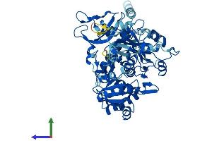 Protein Structure (PS) image for Solute Carrier Family 27 (Fatty Acid Transporter), Member 2 (SLC27A2) (AA 1-620) protein (His tag) (ABIN7555329)