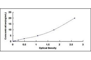 Typical standard curve (DNM2 ELISA 试剂盒)
