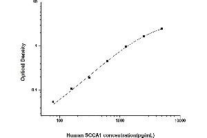 Typical standard curve (SCCA1 ELISA 试剂盒)