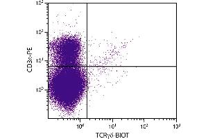 BALB/c mouse thymocytes were stained with Hamster Anti-Mouse TCRγδ-BIOT. (TCRgd 抗体 (Biotin))