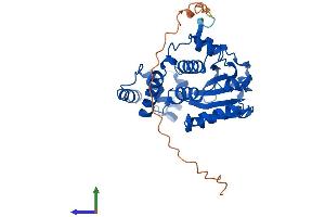 Protein Structure (PS) image for Clavesin 2 (CLVS2) (AA 1-327) protein (His tag) (ABIN7546501)