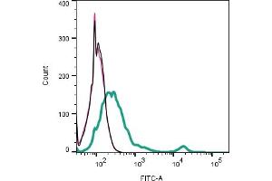 Cell surface detection of CD81 by indirect flow cytometry in live intact mouse  microglia cell line: + goat-anti-rabbit-FITC. (CD81 抗体  (Extracellular))