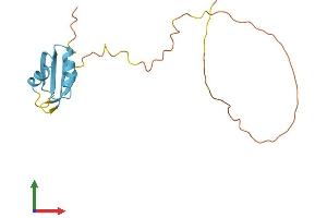 Protein Structure (PS) image for serine/arginine-Rich Splicing Factor 3 (SRSF3) (AA 1-164) protein (His tag) (ABIN7556762)