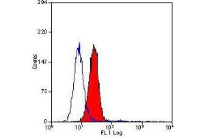 Flow Cytometry (FACS) image for anti-Vascular Cell Adhesion Molecule 1 (VCAM1) antibody (ABIN316780) (VCAM1 抗体)