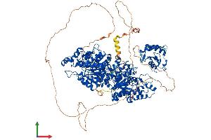 Protein Structure (PS) image for Histone Deacetylase 6 (HDAC6) (AA 1-1149) protein (His tag) (ABIN7565302)