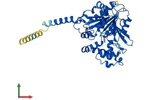 Protein Structure (PS) image for Abhydrolase Domain Containing 3 (ABHD3) (AA 1-411) protein (His tag) (ABIN7560147)