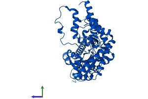 Protein Structure (PS) image for Dopa Decarboxylase (Aromatic L-Amino Acid Decarboxylase) (DDC) (AA 1-480) protein (His tag) (ABIN7562621)