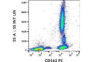 Flow cytometry analysis (surface staining) of human peripheral blood cells with anti-human CD162 (clone TC2) PE. (SELPLG 抗体  (PE))