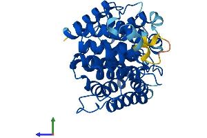 Protein Structure (PS) image for ADP-Ribosylhydrolase Like 1 (ADPRHL1) (AA 1-354) protein (His tag) (ABIN7552240)