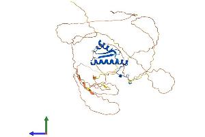 Protein Structure (PS) image for Serum Response Factor (SRF) (AA 1-504) protein (His tag) (ABIN7561695)
