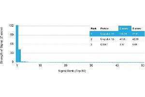 Analysis of Protein Array containing more than 19,000 full-length human proteins using Uroplakin 1A Mouse Monoclonal Antibody (UPK1A/2925) Z- and S- Score: The Z-score represents the strength of a signal that a monoclonal antibody (MAb) (in combination with a fluorescently-tagged anti-IgG secondary antibody) produces when binding to a particular protein on the HuProtTM array. (UPK1A 抗体  (AA 114-173))