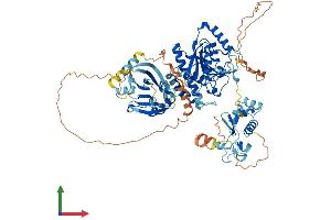 Protein Structure (PS) image for Methyltransferase Like 19 (METTL19) (AA 1-757) protein (His tag) (ABIN7544749)