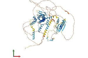 Protein Structure (PS) image for Suppressor of Ty 20 Homolog (SUPT20H) (AA 1-779) protein (His tag) (ABIN7555546)