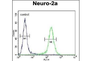 ZDHC2 Antibody (N-term) (ABIN651781 and ABIN2840397) flow cytometric analysis of Neuro-2a cells (right histogram) compared to a negative control (left histogram). (ZDHHC2 抗体  (AA 77-106))