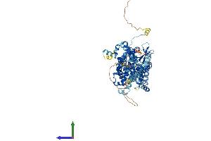 Protein Structure (PS) image for Solute Carrier Family 26, Member 6 (SLC26A6) (AA 1-758) protein (His tag) (ABIN7564600)