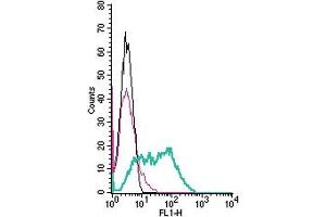 Cell surface detection of KV11.