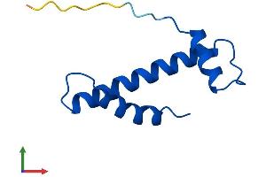 AlphaFold protein structure predicition of Mouse Recombinant Cenpw Protein, UniprotID Q3URR0 (CENPW Protein (AA 1-86) (Fc Tag))