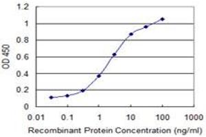 Detection limit for recombinant GST tagged RNF121 is 0. (RNF121 抗体  (AA 193-301))
