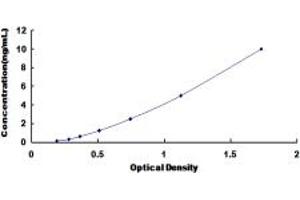 Typical standard curve (LKB1 ELISA 试剂盒)