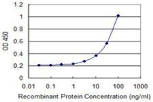 Detection limit for recombinant GST tagged SLC25A21 is 1 ng/ml as a capture antibody. (SLC25A21 抗体  (AA 36-99))
