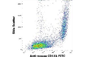 Flow cytometry surface staining pattern of murine peritoneal fluid cells stained using anti-mouse CD11b (M1/70) FITC antibody (concentration in sample 0,5 μg/mL). (CD11b 抗体  (FITC))
