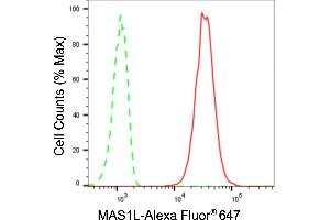 Flow cytometric analysis of MAS1L expression in C2C12 cells using MAS1L antibody (ABIN7799334), 1:2,000). (Recombinant MAS1L 抗体)