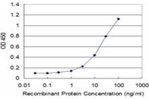 Detection limit for recombinant GST tagged MAGEB1 is approximately 1ng/ml as a capture antibody. (MAGEB1 抗体  (AA 1-347))