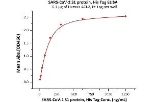 ELISA image for SARS-CoV-2 Spike S1 (P.1 - gamma) (Active) protein (His tag) (ABIN6992361)